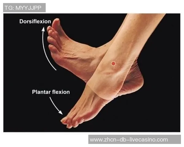 足球鞋在提升运动表现与保护脚踝方面的重要作用分析