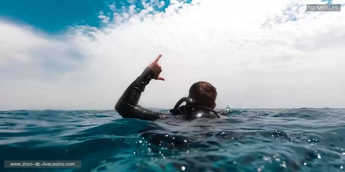 📱实时追踪，精彩瞬间不错过！📸